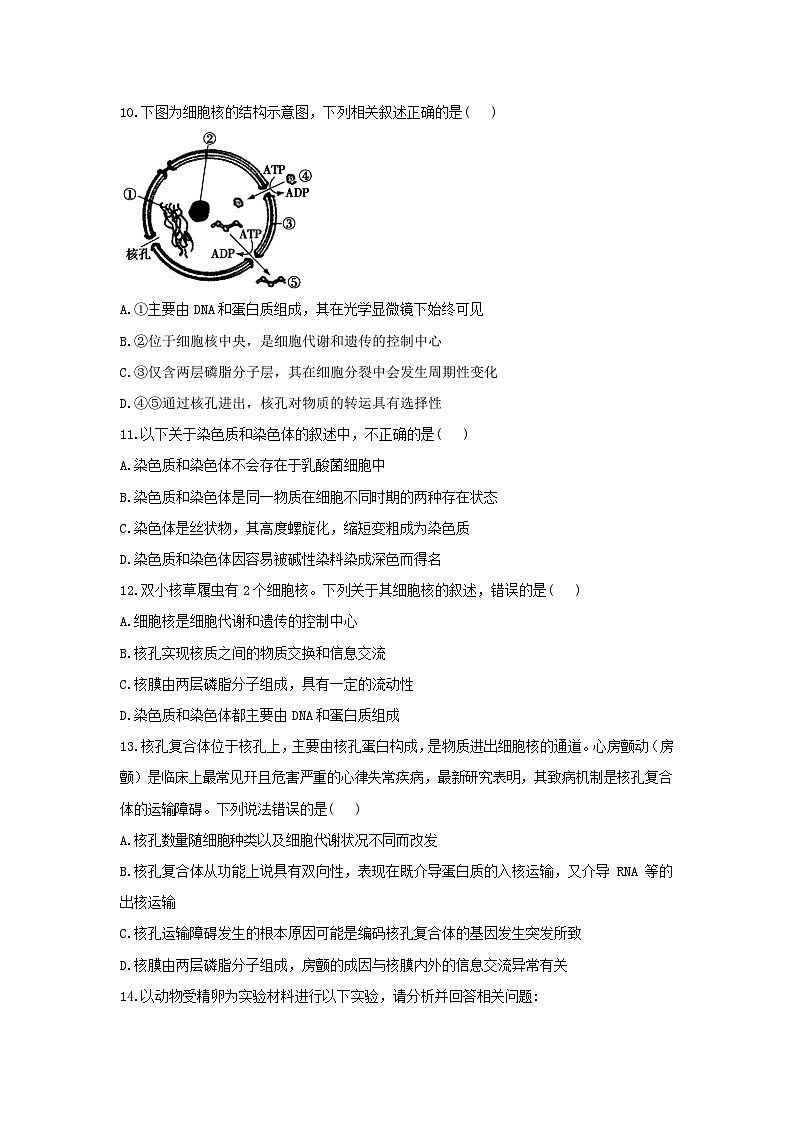 2022年高中生物2.4细胞核是细胞生命活动的控制中心课时作业浙科版必修103