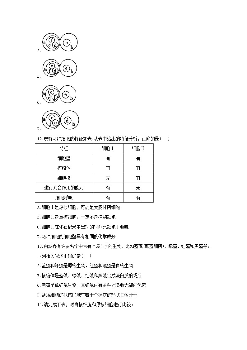 2022年高中生物2.6原核细胞内无成形的细胞核课时作业浙科版必修103