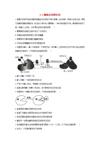 高中生物浙科版 (2019)必修1《分子与细胞》第二节 酶是生物催化剂课后作业题