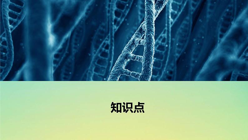 新教材高中生物第1章细胞的分子组成第1节水和无机盐是构成细胞的重要无机物课件浙科版必修1第4页