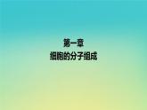 新教材高中生物第1章细胞的分子组成第2节生物大分子以碳链为骨架第2课时蛋白质是生命活动的主要承载者课件浙科版必修1