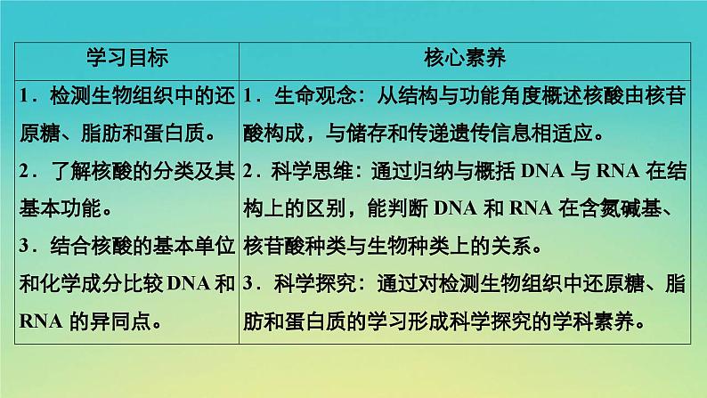 新教材高中生物第1章细胞的分子组成第2节生物大分子以碳链为骨架第3课时活动课检测生物组织中的油脂糖类和蛋白质核酸课件浙科版必修104