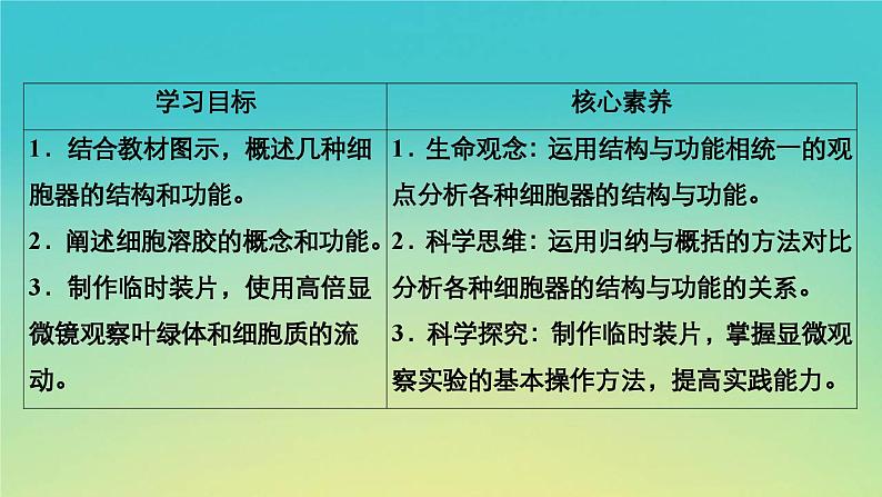 新教材高中生物第2章细胞的结构第3节细胞质是多项生命活动的场所课件浙科版必修103