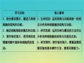 新教材高中生物第2章细胞的结构第3节细胞质是多项生命活动的场所课件浙科版必修1