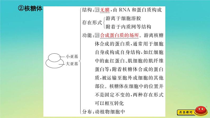 新教材高中生物第2章细胞的结构第3节细胞质是多项生命活动的场所课件浙科版必修108