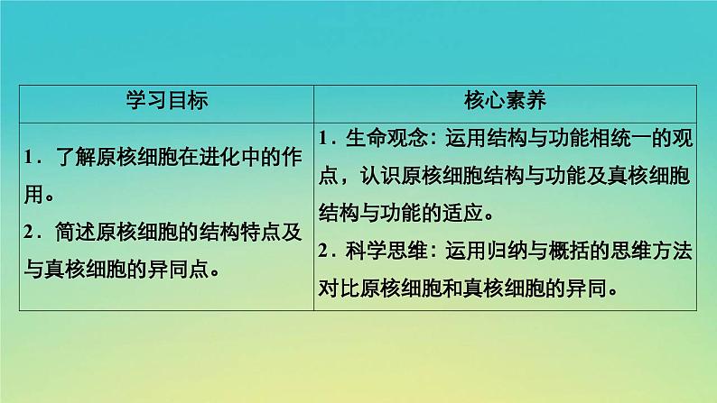 新教材高中生物第2章细胞的结构第6节原核细胞内无成形的细胞核课件浙科版必修103