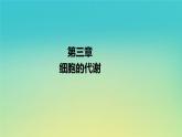 新教材高中生物第3章細(xì)胞的代謝第1節(jié)ATP是細(xì)胞內(nèi)的“能量通貨”課件浙科版必修1