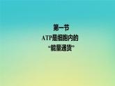 新教材高中生物第3章细胞的代谢第1节ATP是细胞内的“能量通货”课件浙科版必修1