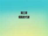 新教材高中生物第3章细胞的代谢第3节物质通过多种方式出入细胞第2课时被动转运主动转运与胞吞和胞吐课件浙科版必修1