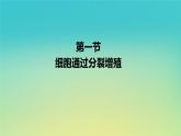 新教材高中生物第4章细胞的生命历程第1节细胞通过分裂增殖第2课时一个细胞周期过程中相关数量变化的分析观察和癌变课件浙科版必修1