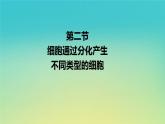 新教材高中生物第4章细胞的生命历程第2节细胞通过分化产生不同类型的细胞课件浙科版必修1