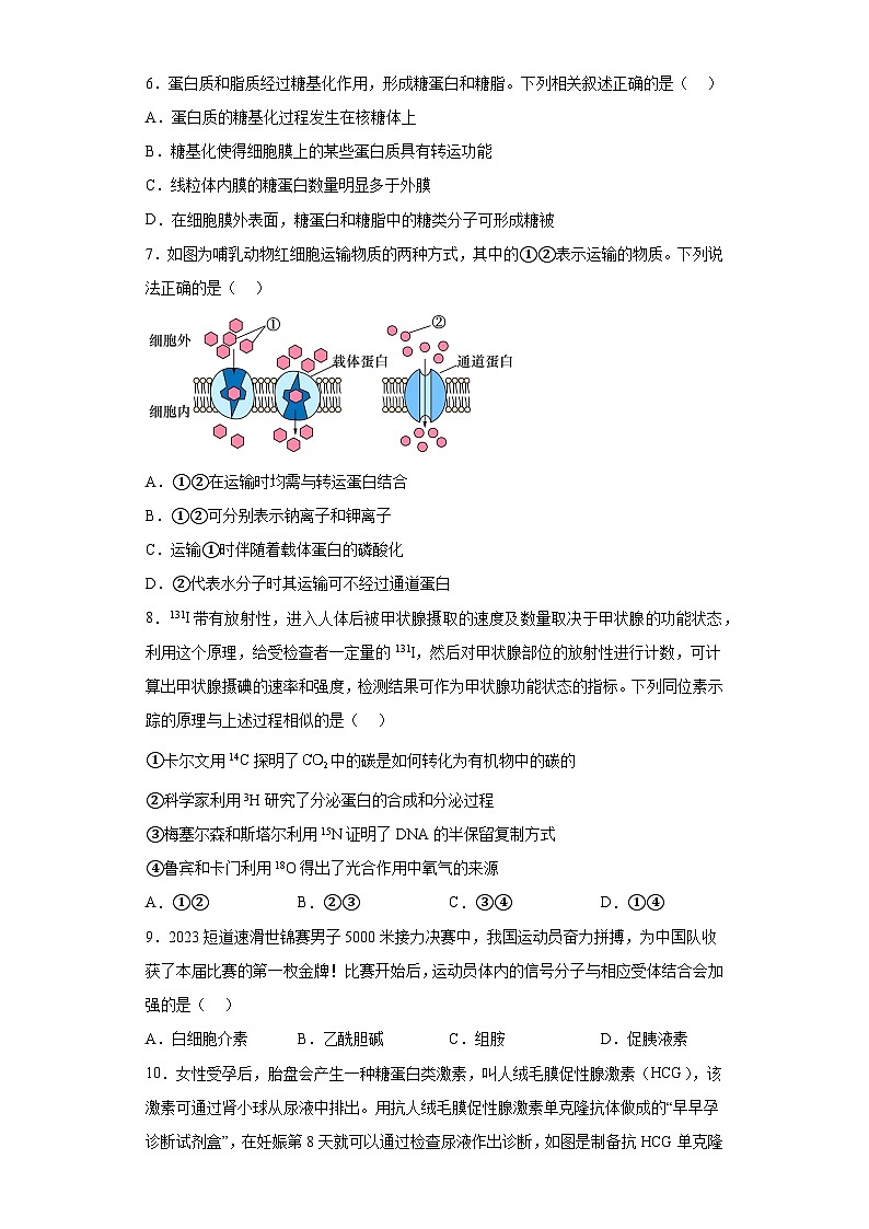 2023届广东省高三5月大联考生物试题（含答案）02