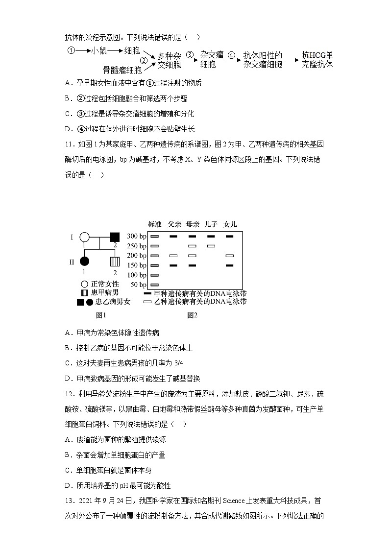 2023届广东省高三5月大联考生物试题（含答案）03