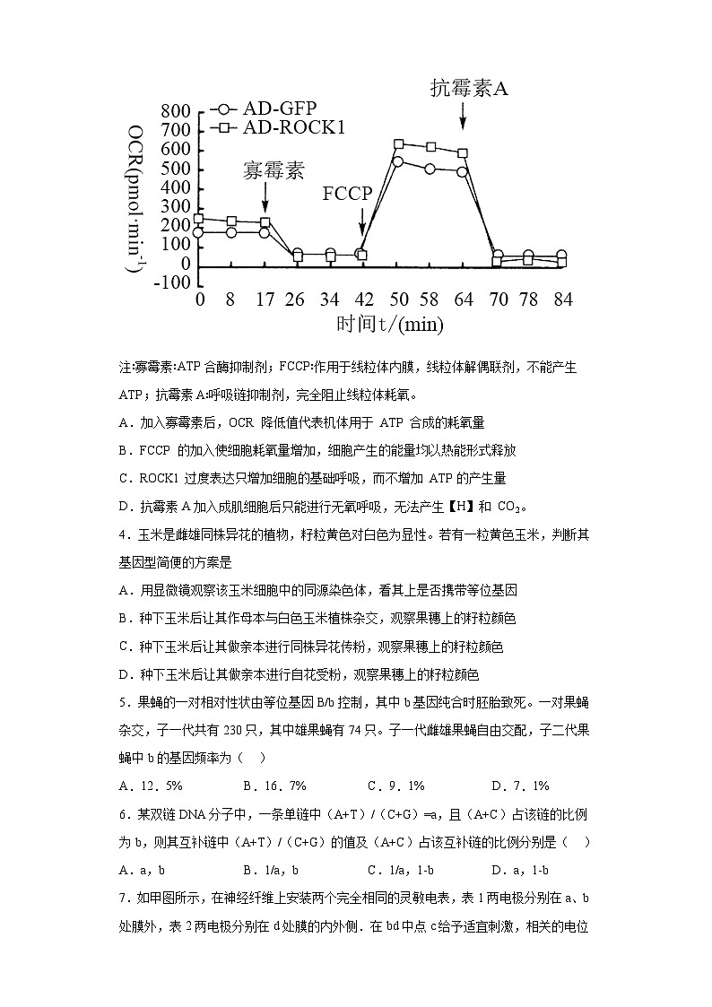 2023届江苏省盐城中学高三第三次模拟考试生物试题（含答案）02
