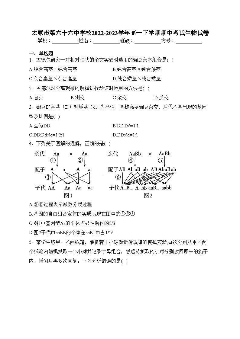 太原市第六十六中学校2022-2023学年高一下学期期中考试生物试卷（含答案）01