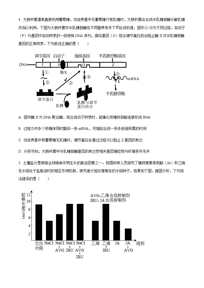 2022-2023学年安徽省淮北市高三下学期二模生物试题含解析02