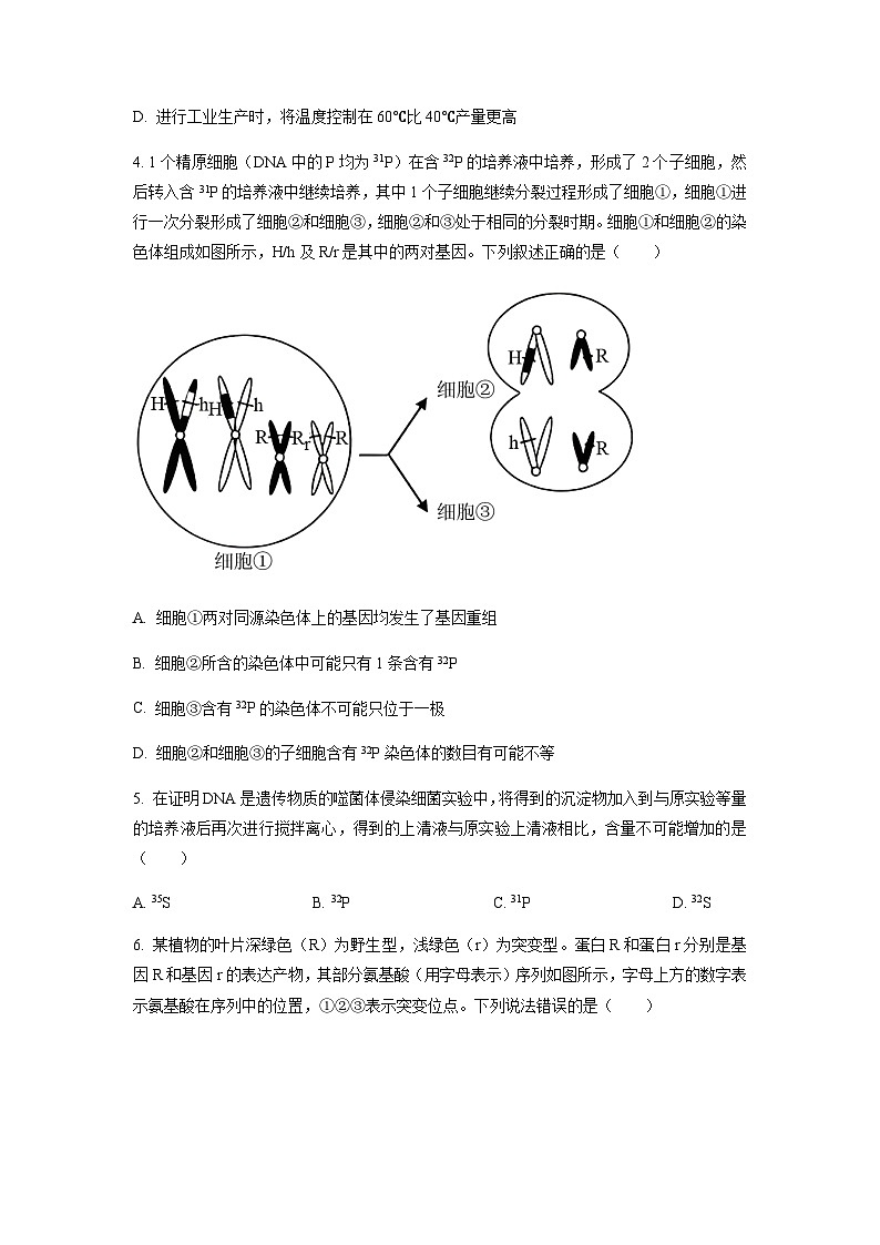 2023届河北省衡水中学高三二模生物试题含答案02