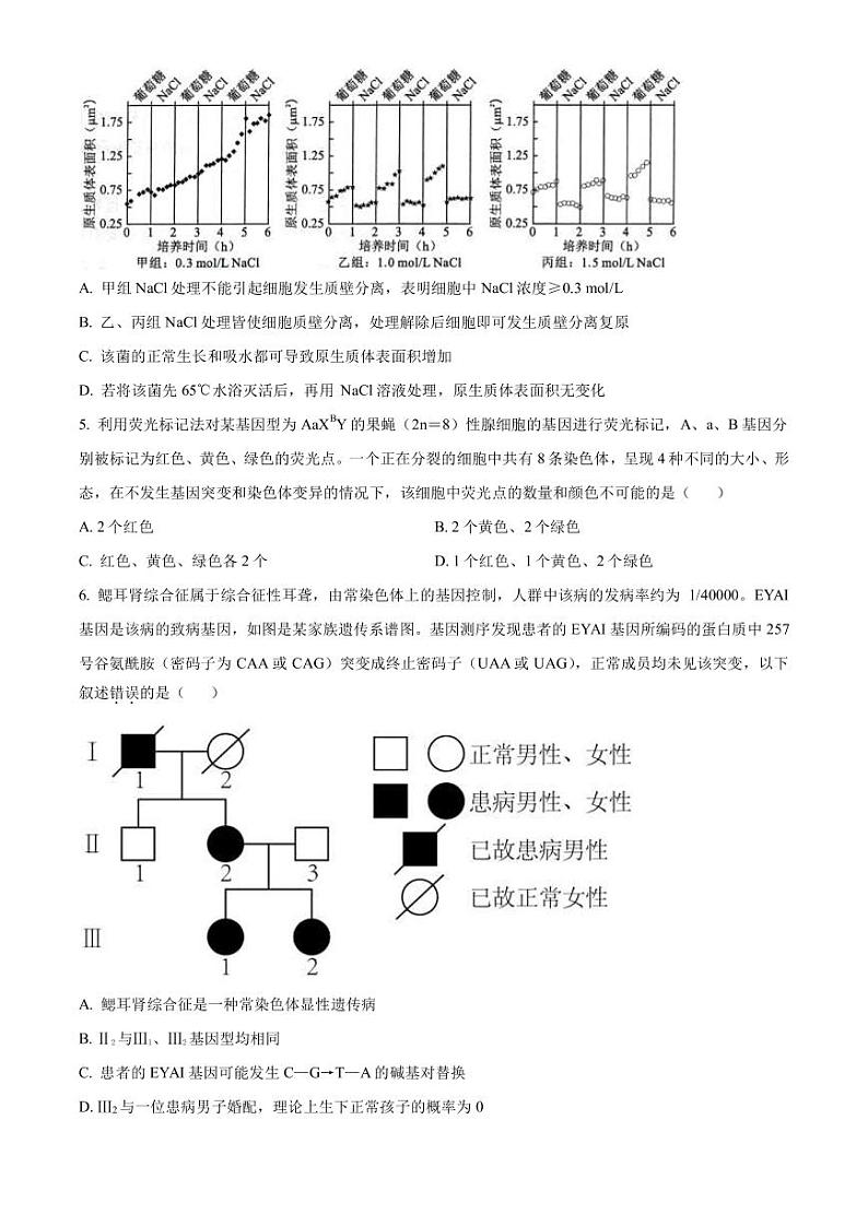 2023届天津市河西区高三二模生物试题PDF版含答案02