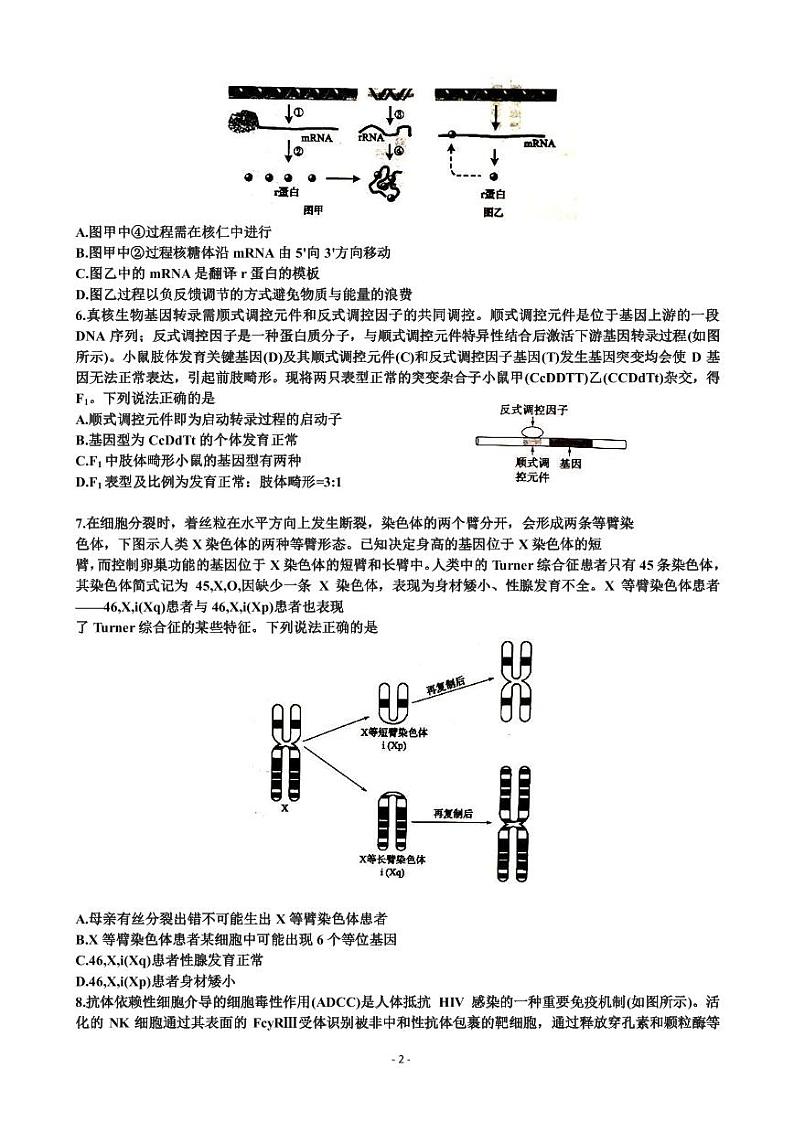 2023届山东省滨州市高三第二次模拟考试生物试题PDF版含答案第2页