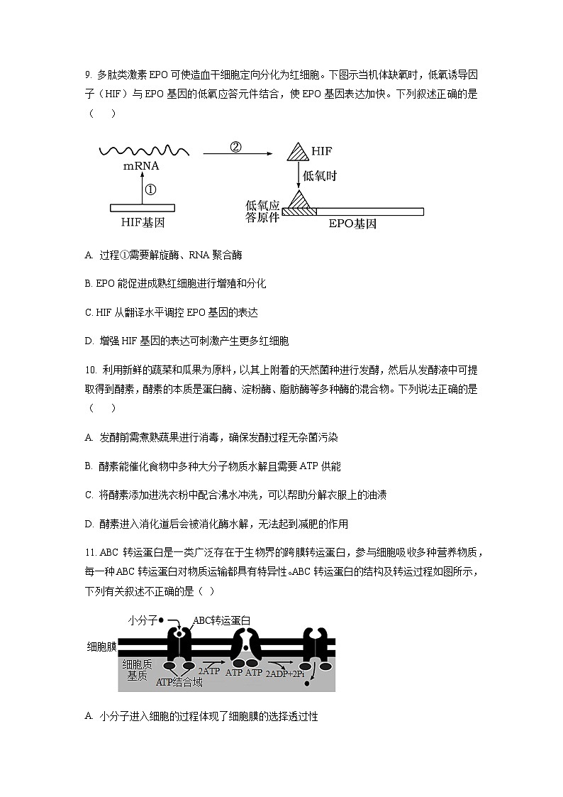 2022-2023学年浙江省义乌市高三下学期5月适应性考试（三模）生物试题含答案03