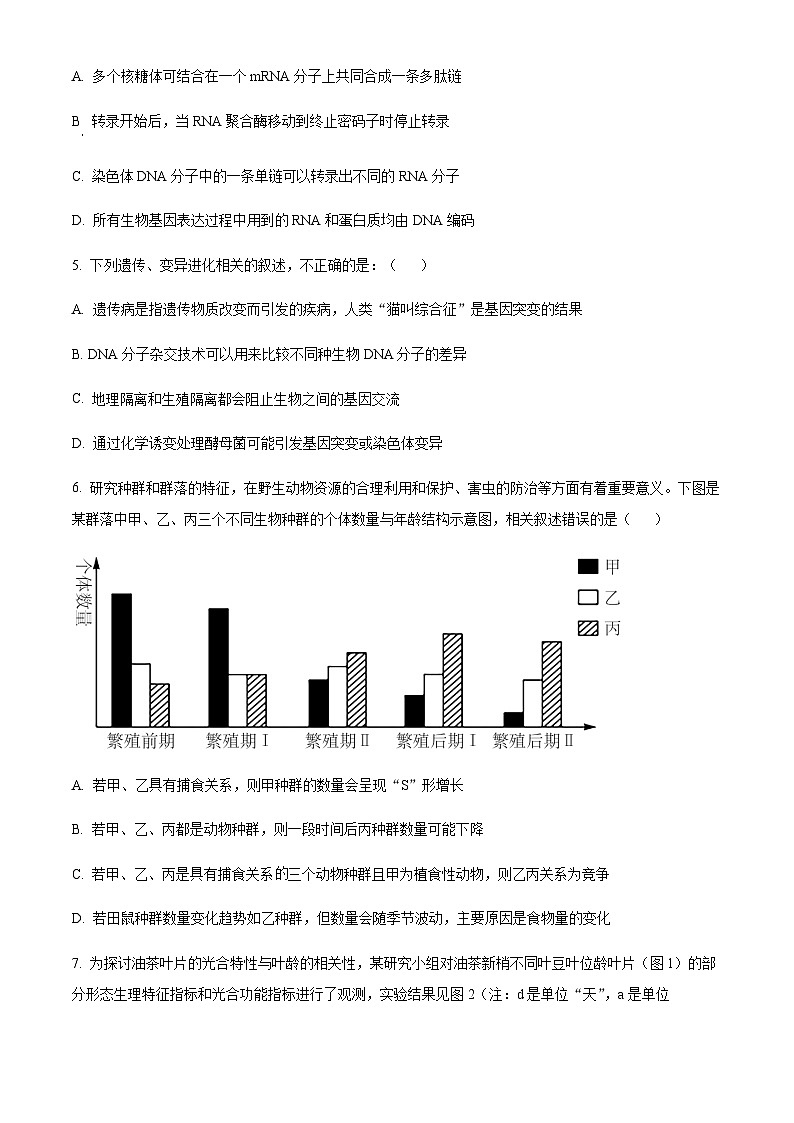 2023届四川省成都市树德中学高三下学期第三次诊断性模拟测试理综生物试题含解析02