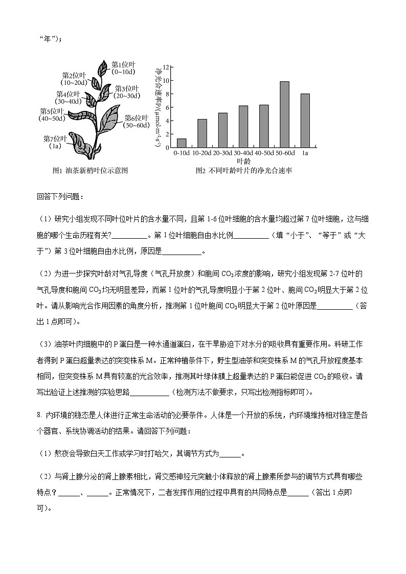 2023届四川省成都市树德中学高三下学期第三次诊断性模拟测试理综生物试题含解析03