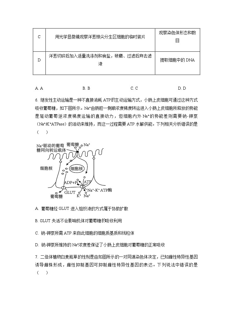 2023届湖北省鄂东南省级示范高中教育教学改革联盟学校黄冈中学高三5月模拟生物试题含答案03