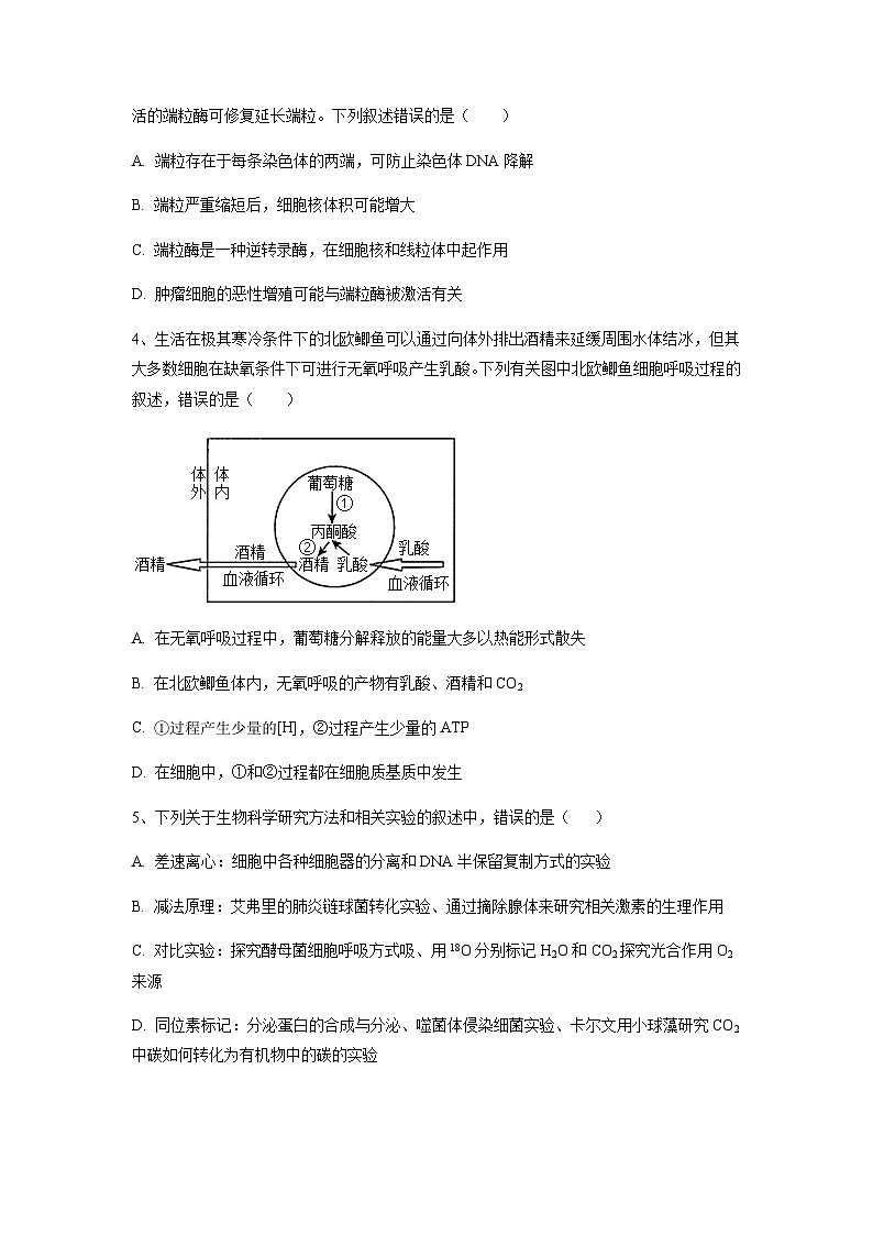 2023年高考生物考前信息必刷卷（一）（福建卷）含答案02