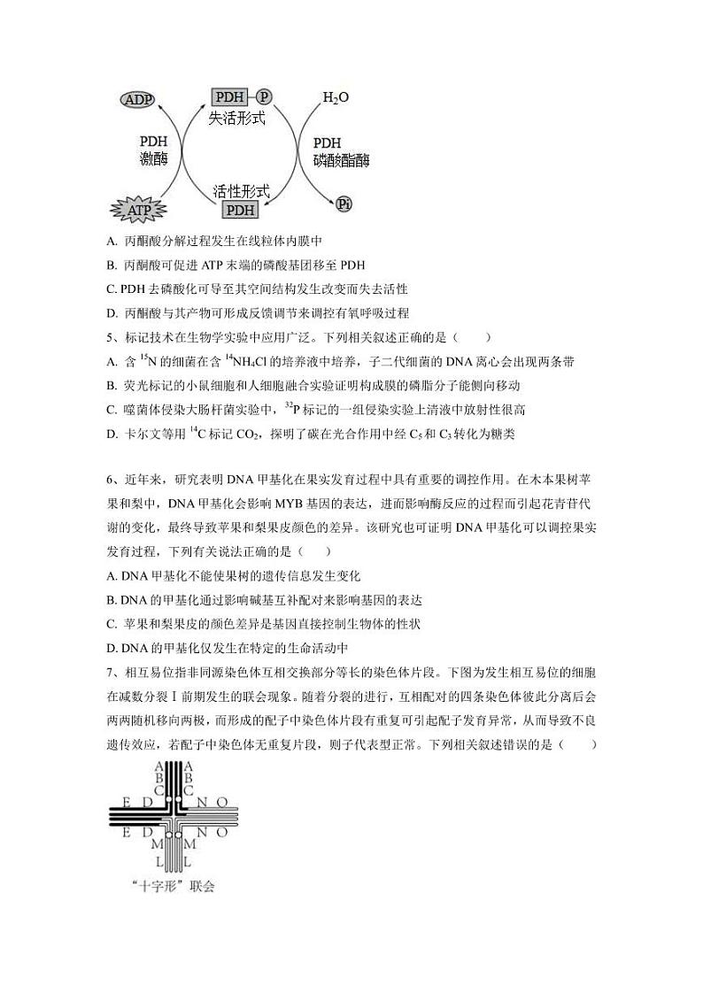 2023年高考生物考前信息必刷卷（五）（福建卷）PDF版含答案02