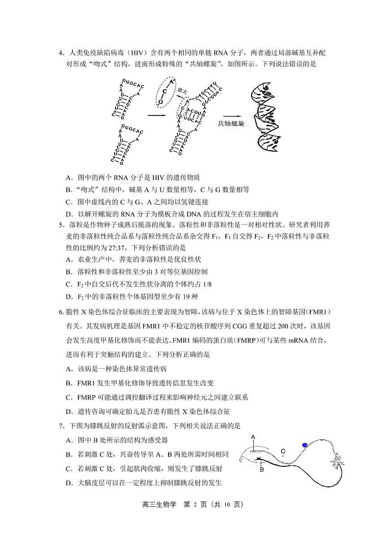 2023届辽宁省沈阳市高三三模生物试题及答案02
