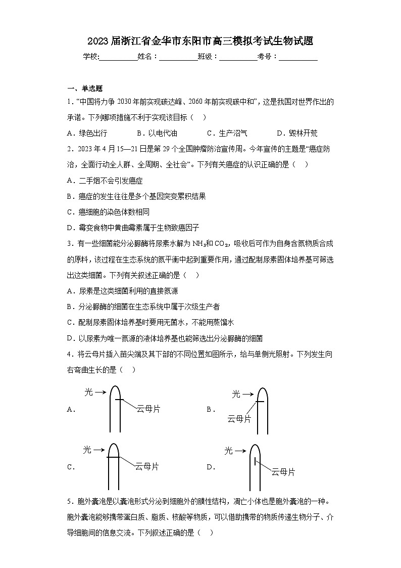 2023届浙江省金华市东阳市高三模拟考试生物试题（含解析）01