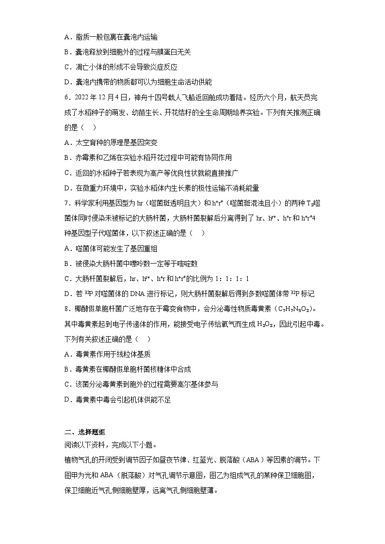 2023届浙江省金华市东阳市高三模拟考试生物试题（含解析）02