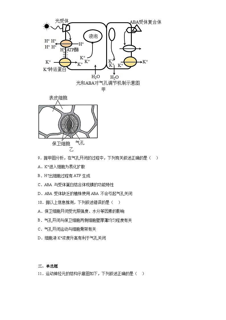 2023届浙江省金华市东阳市高三模拟考试生物试题（含解析）03