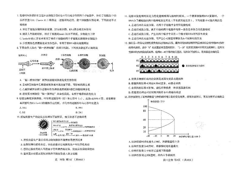 2022届石家庄市高三教学质量检测（二）生物试题02