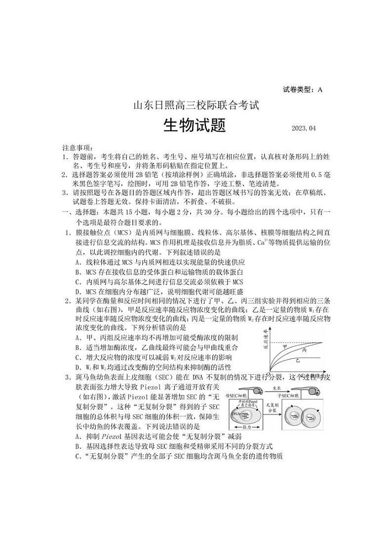 2023年4月山东日照高三校际联合考试生物试题含答案01