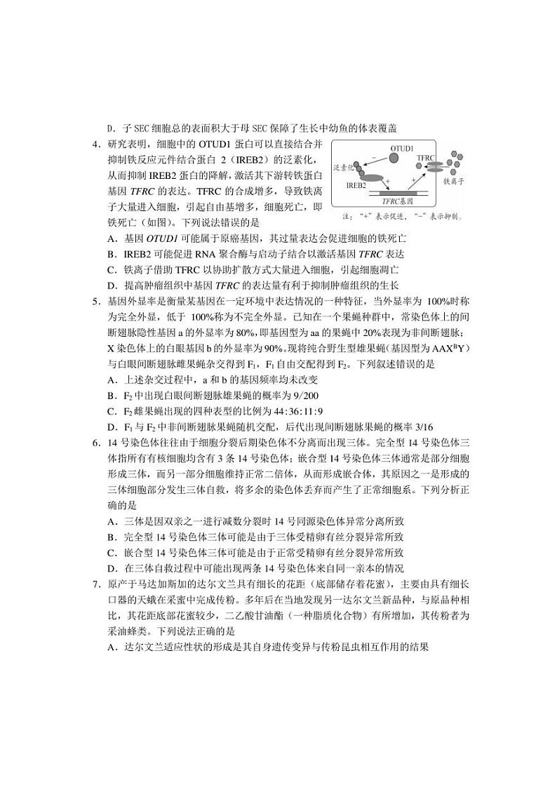 2023年4月山东日照高三校际联合考试生物试题含答案02
