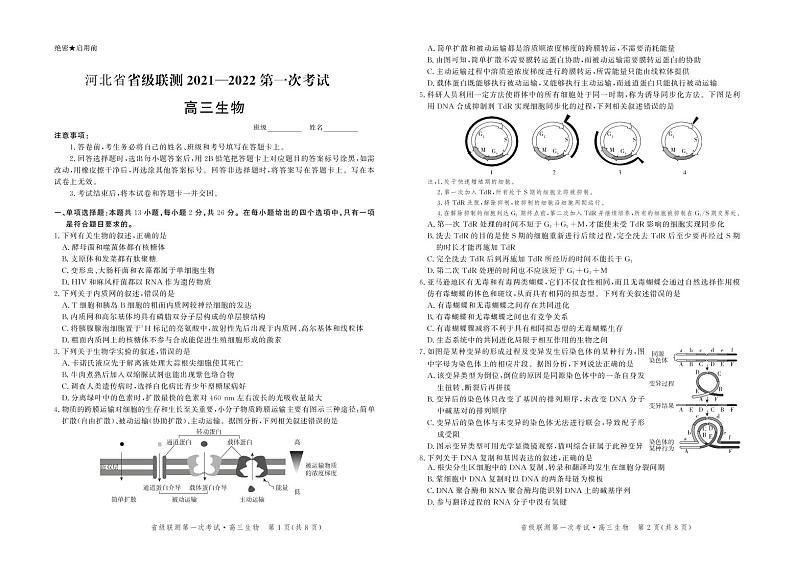 高三生物试卷第1页