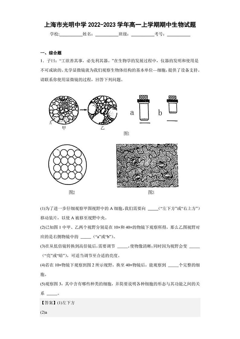 2022-2023学年上海市光明中学高一上学期期中生物试题（解析版）01