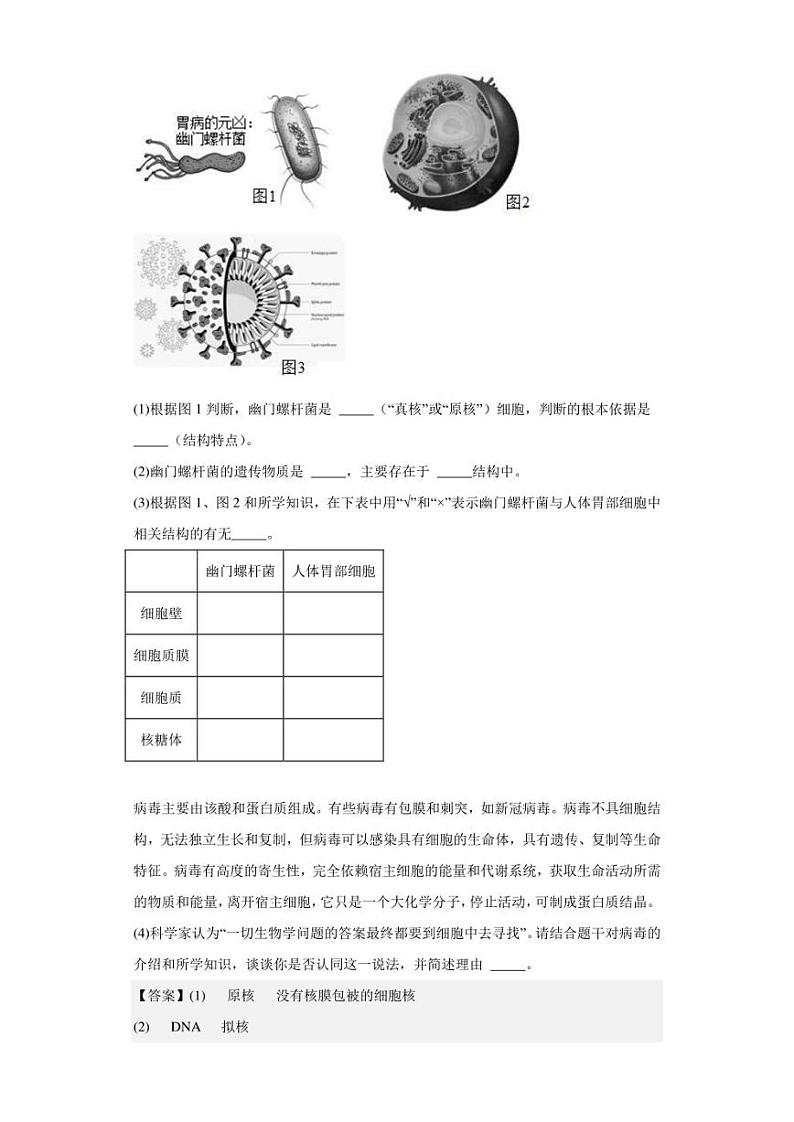 2022-2023学年上海市光明中学高一上学期期中生物试题（解析版）03