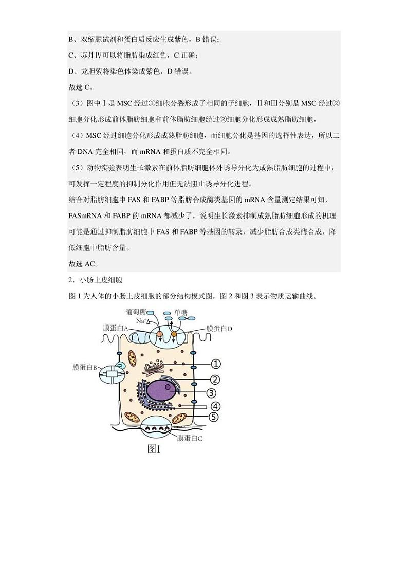 2022-2023学年上海市静安区市北中学高二10月月考生物试题（解析版）03