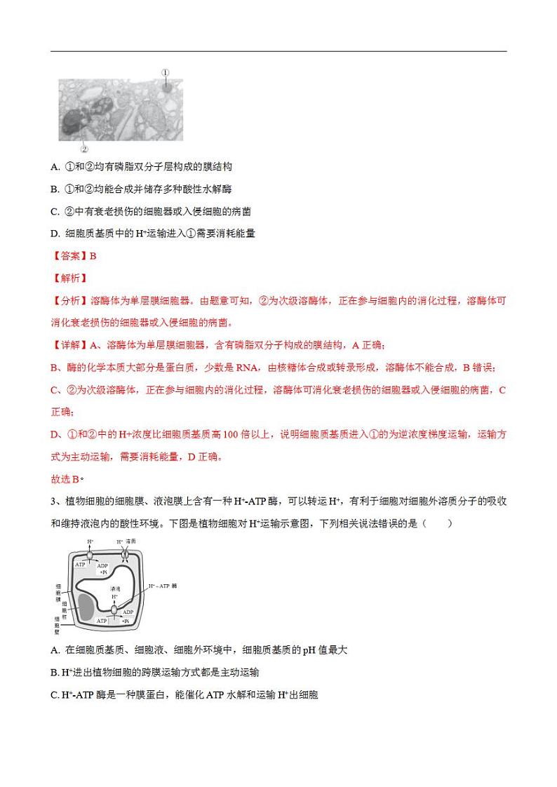 试卷02【押题演练】备战2023年高考生物全真模拟押题试卷（江苏试卷）（解析版）02