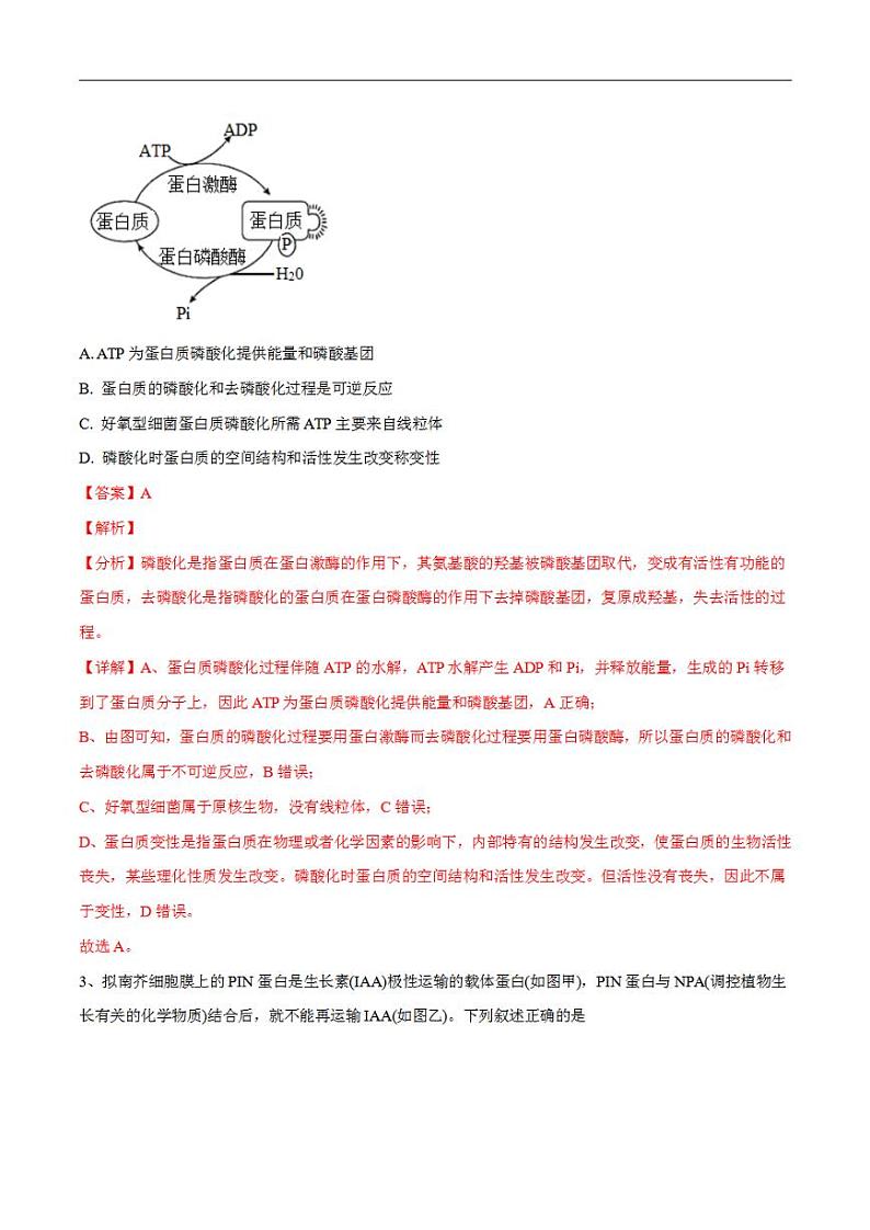 试卷03【押题演练】备战2023年高考生物全真模拟押题试卷（全国甲试卷）（解析版）02