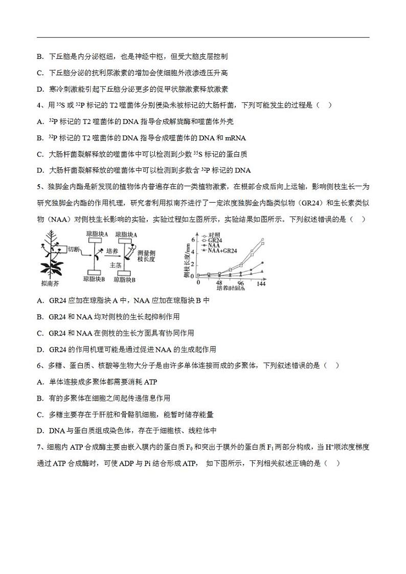 试卷04【押题演练】备战2023年高考生物全真模拟押题试卷（广东试卷）（原试卷版）02