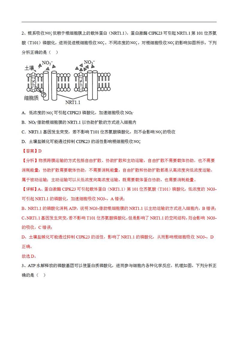 试卷04【押题演练】备战2023年高考生物全真模拟押题试卷（山东试卷）（解析版）02