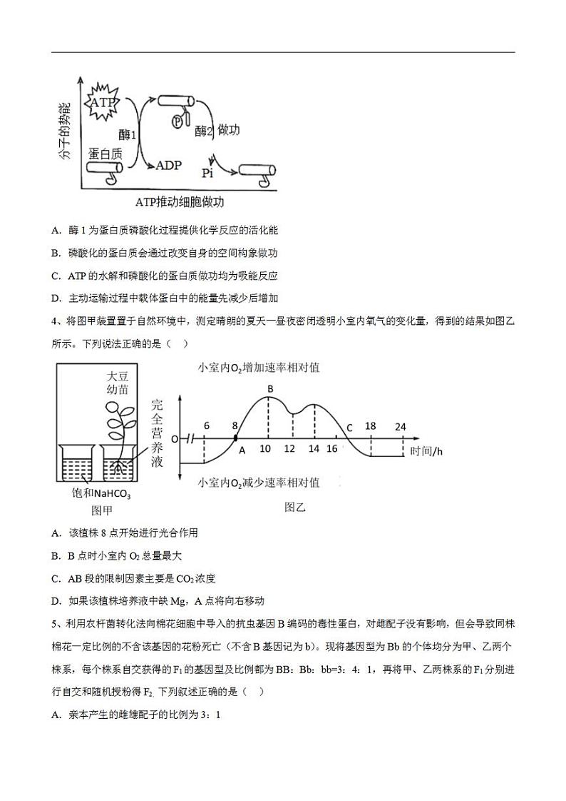 试卷04【押题演练】备战2023年高考生物全真模拟押题试卷（山东试卷）（原试卷版）02