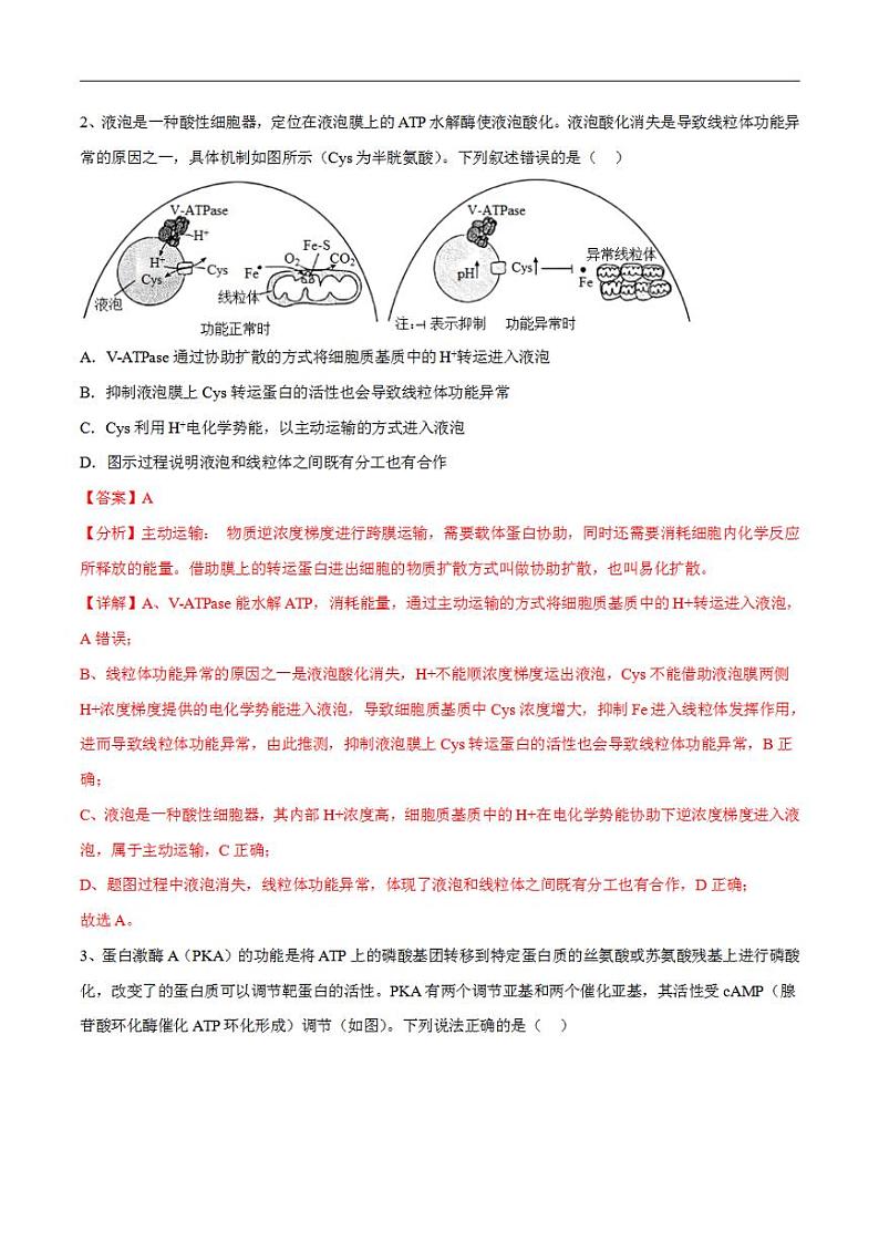试卷01【押题演练】备战2023年高考生物全真模拟押题试卷（山东试卷）（解析版）02