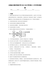 2022-2023学年云南省大理州民族中学高二3月月考生物试题（解析版）