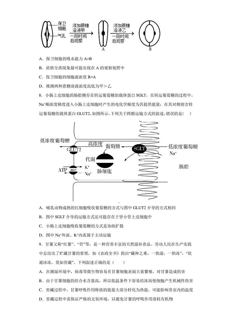 2022-2023学年云南省大理州民族中学高二3月月考生物试题（解析版）第3页