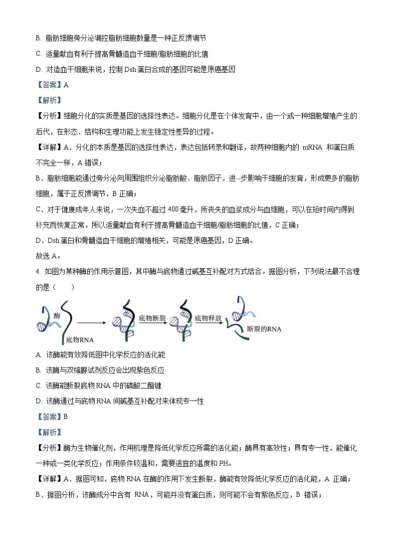 重庆市八中2022-2023学年高三生物下学期适应性月考卷（八）试题（Word版附解析）第3页