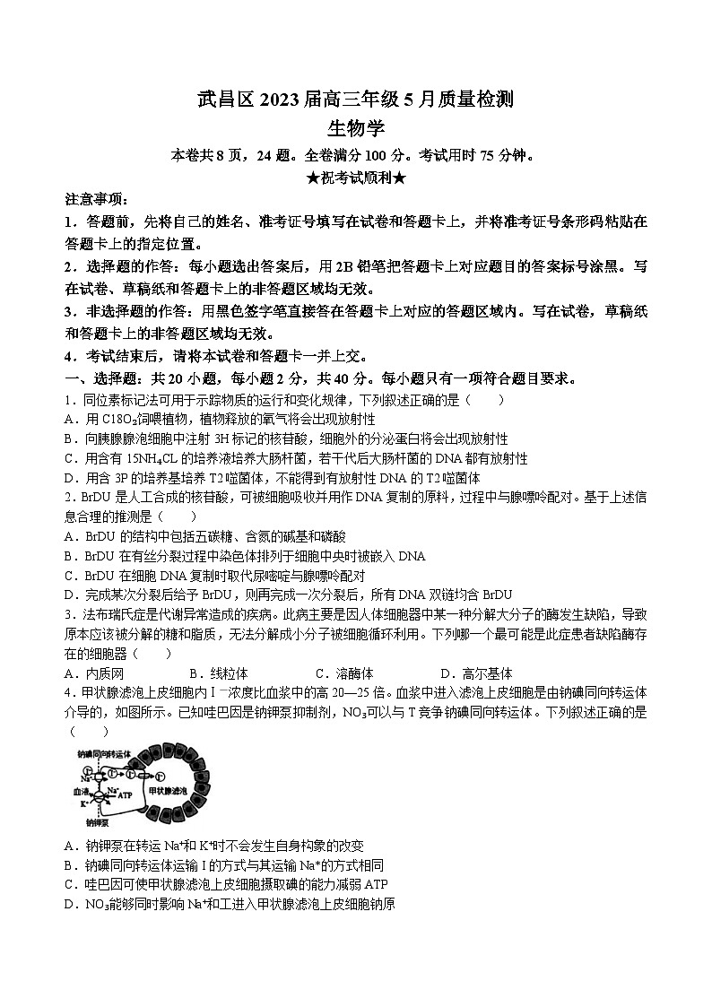 湖北省武汉市武昌区2022-2023学年高三下学期5月质量检测生物试卷Word版含答案01
